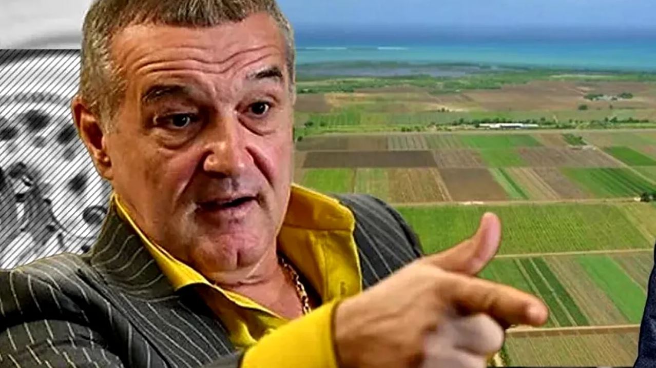 Apare cartierul Gigi Becali Dezvăluiri fabuloase Bulevard de 21 de